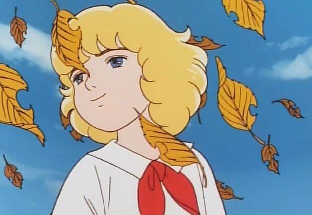 The Little Prince Cedie The Little Prince Cedie